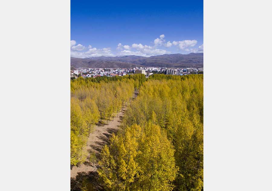 Scenery of Yalong Lingka wetland park in SW China