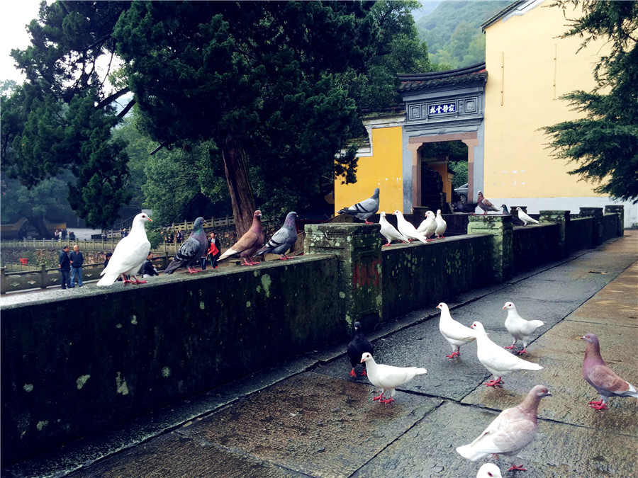 Tiantong Temple: Sacred place surrounded by heavenly beauty