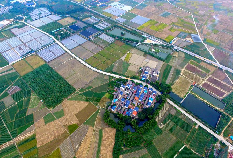 Bird's-eye view of farmlands in Guangxi