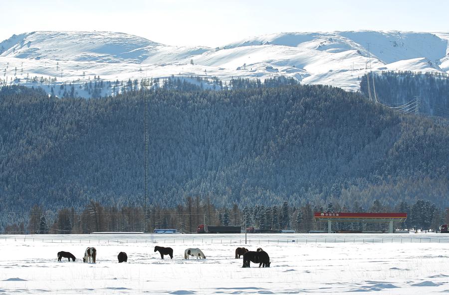 Snow scenery seen in NW China