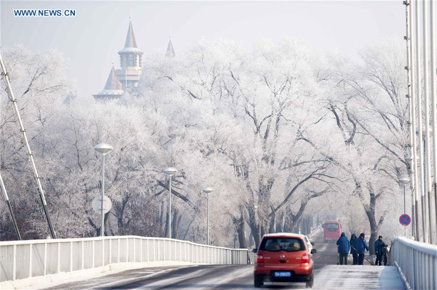 Rime scenery in NE China