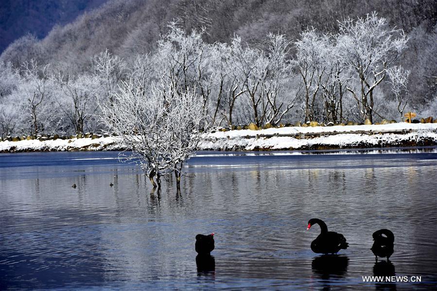 Snow scenery of Dajiuhu National Wetland Park in Hubei