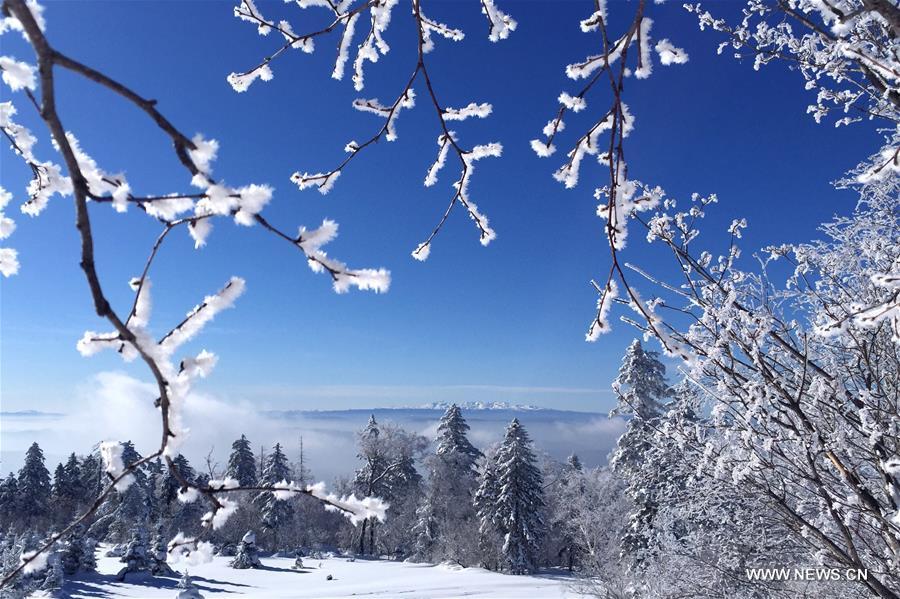 Rime scenery in NE China's Jilin