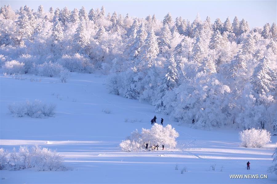 Rime scenery in NE China's Jilin