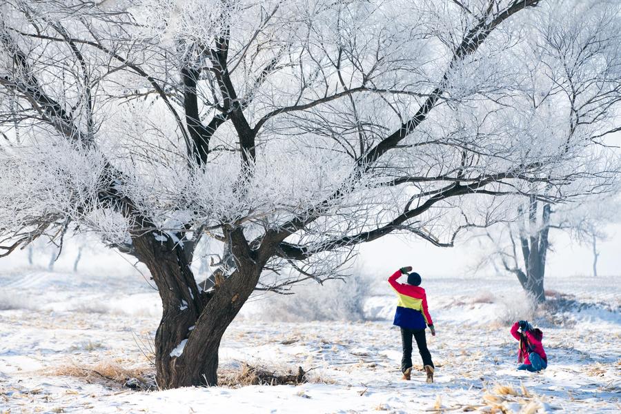 Rime scenery seen in NE China's Jilin