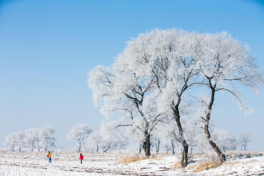 Rime scenery seen in NE China's Jilin