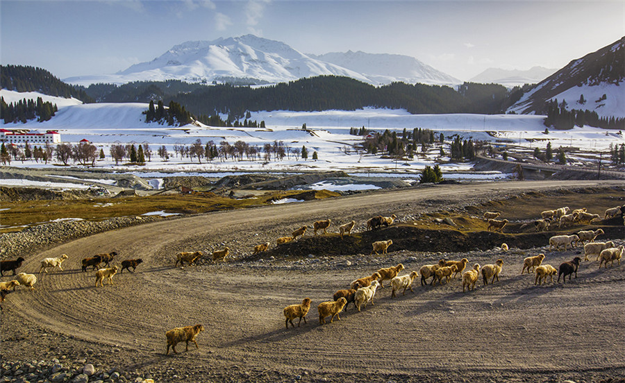 Amazing landscapes of China's Xinjiang captured on film