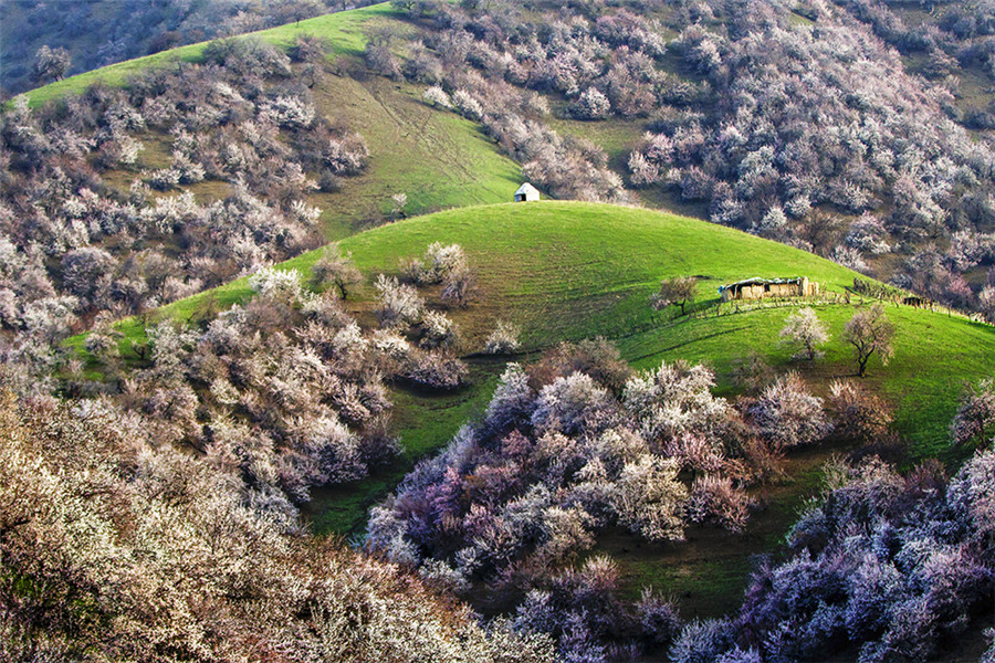 Amazing landscapes of China's Xinjiang captured on film