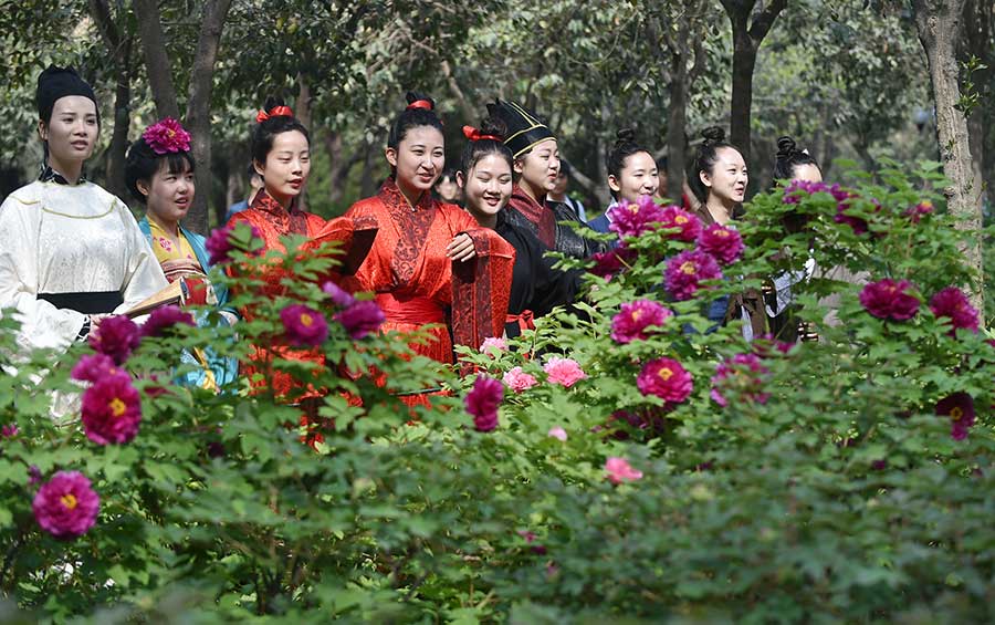 Peony Cultural Festival opens in Central China