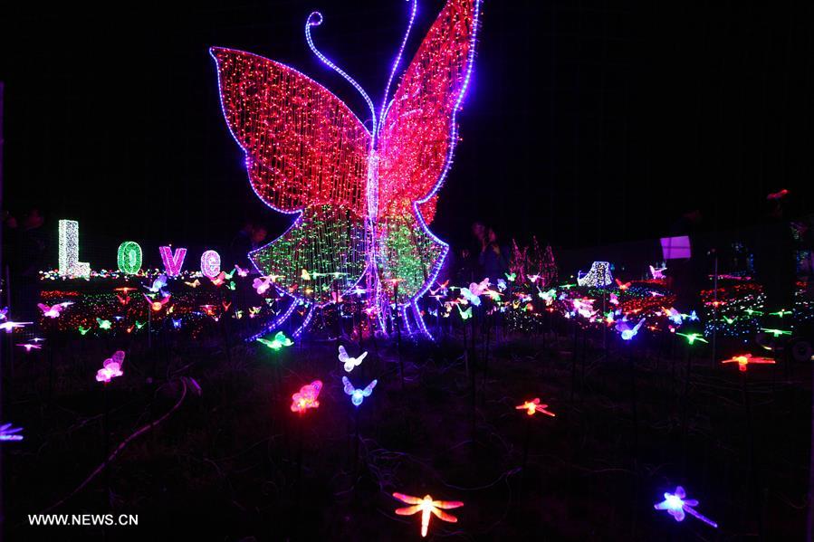 Tourists view colorful lights at light festival in E China's Nantong