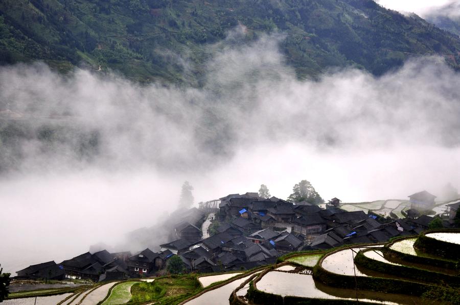 Terraces shrouded by morning fog in Southwest China