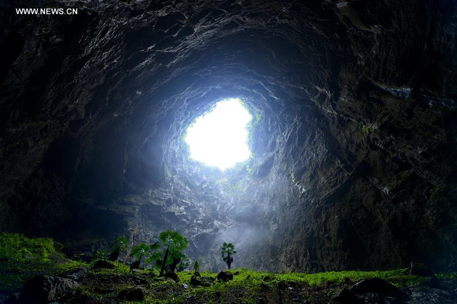 Unique ecosystem preserved in C China's karst cave