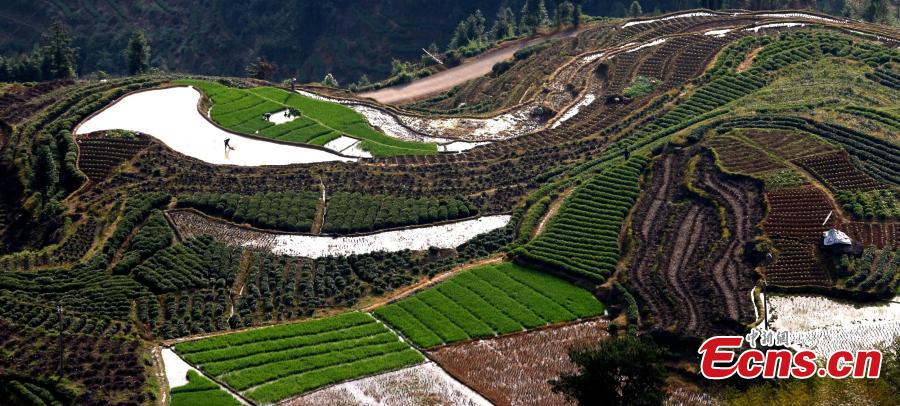 Terraced fields form beautiful landscape in E China town