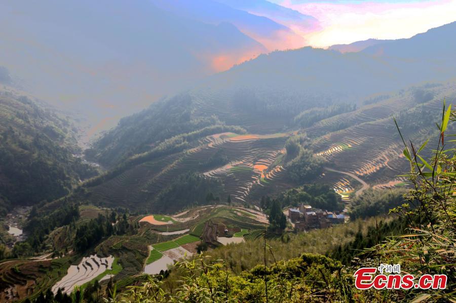 Terraced fields form beautiful landscape in E China town