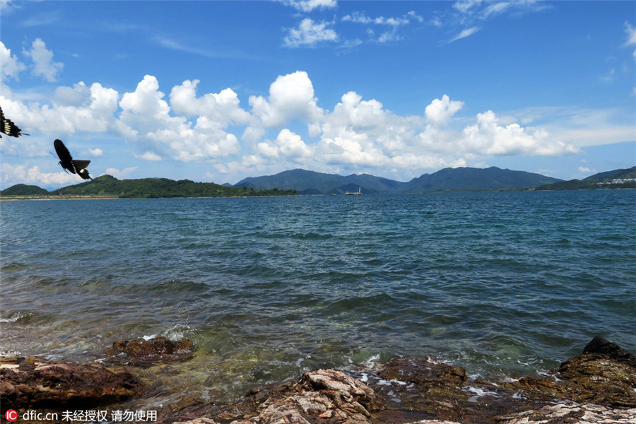 Ma Shi Chau: Beautiful geological park in HK