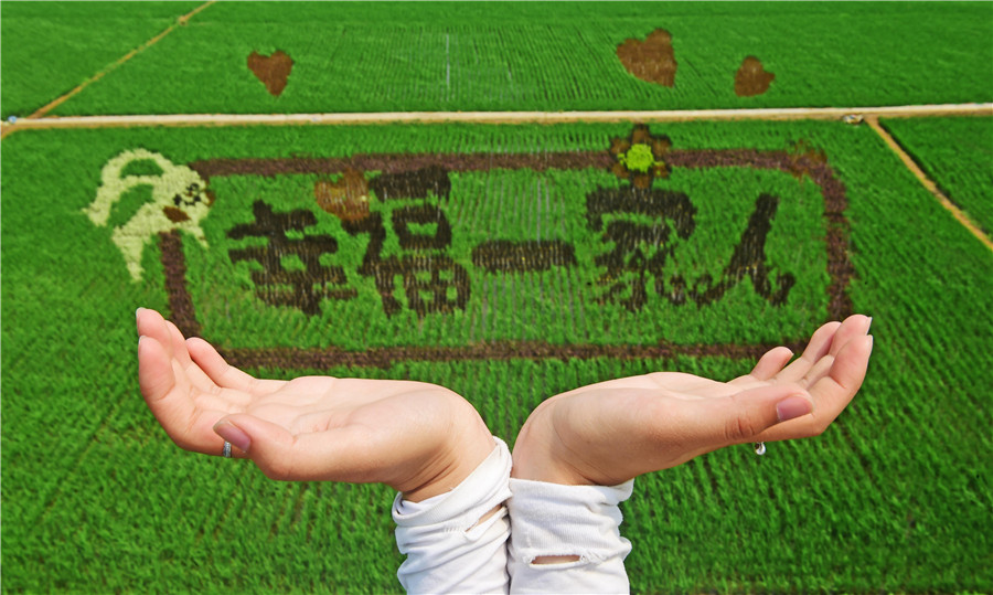 A summer treat: More amazing rice paddy art