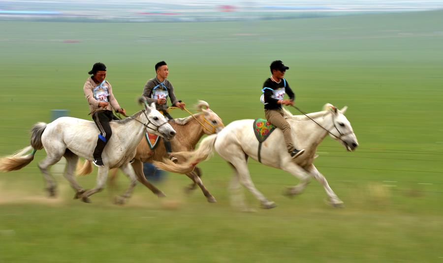 Local herdsmen celebrate traditional festival in Inner Mongolia