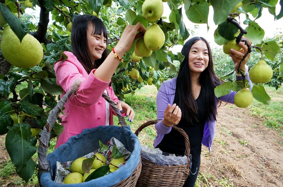 Rural scenery of Beijing in autumn