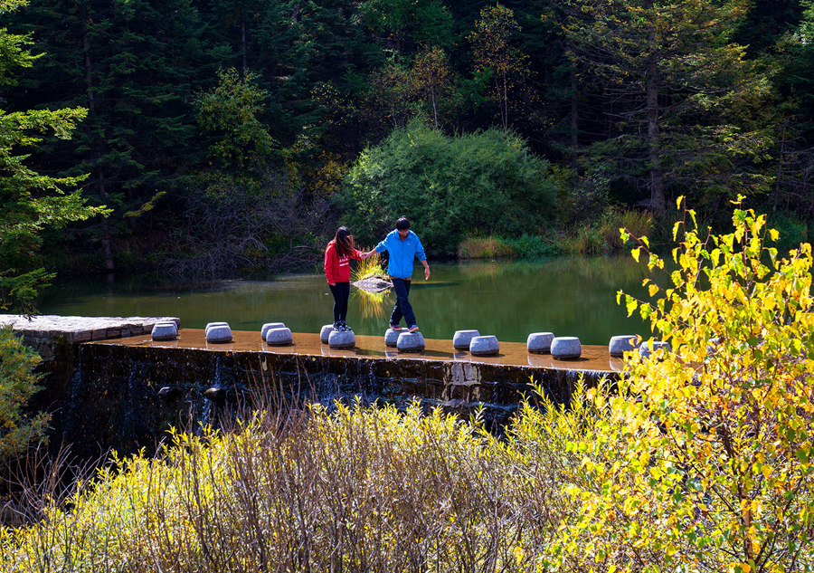 Indulged in the golden color of autumn in Shanxi