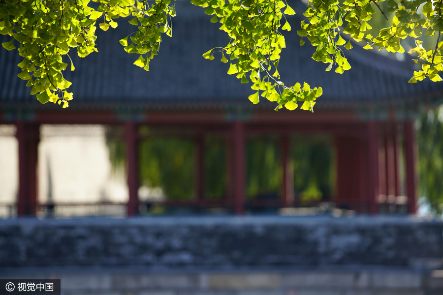 A gloriously clear day at the Palace Museum