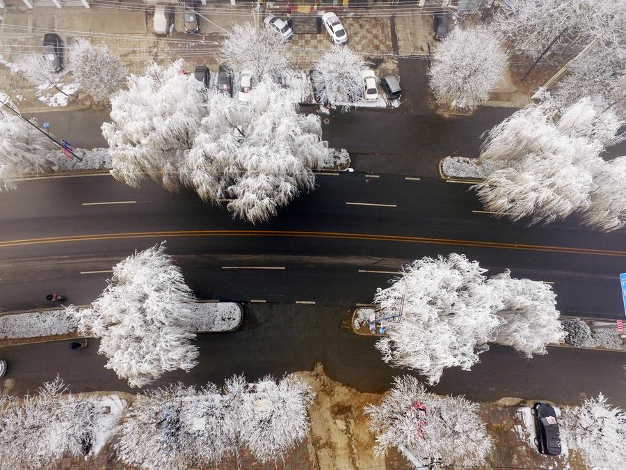 Scenery of rime in North China's Hebei