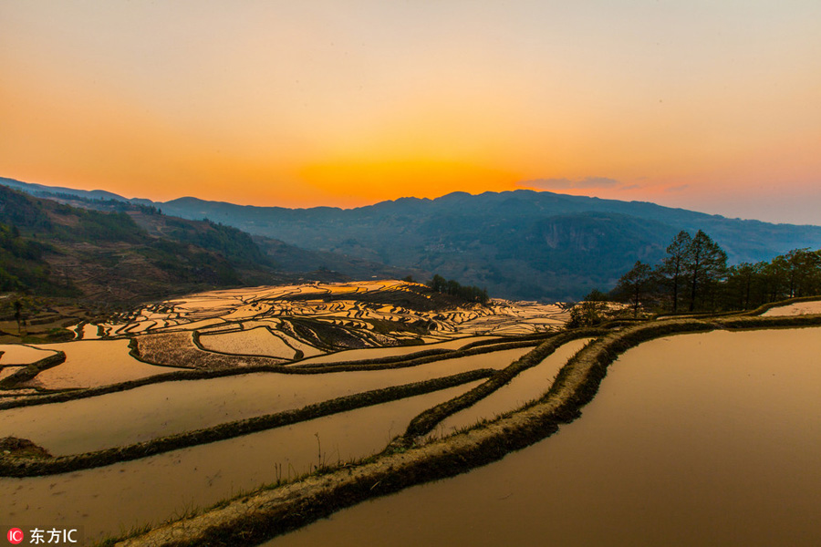 Honghe Rice Terraces: Masterpiece of Hani people