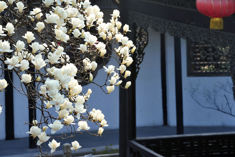 Spring flowers decorate Slender West Lake