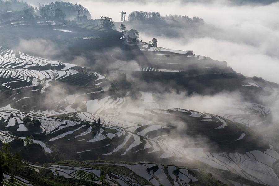 Youyang terraces in Chongqing capture beauty of nature