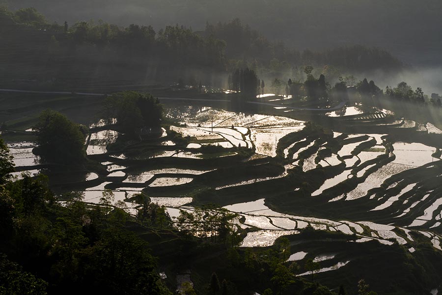 Youyang terraces in Chongqing capture beauty of nature