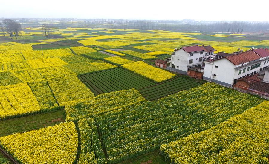 Spring scenery at the foot of Tiandang Mountain