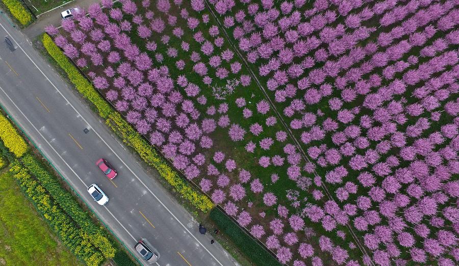 Spring scenery at the foot of Tiandang Mountain