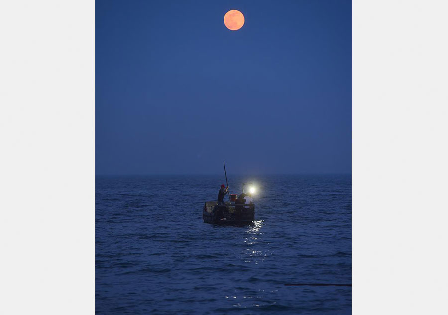 Enchanting scenery of coastline in SE China's Fujian