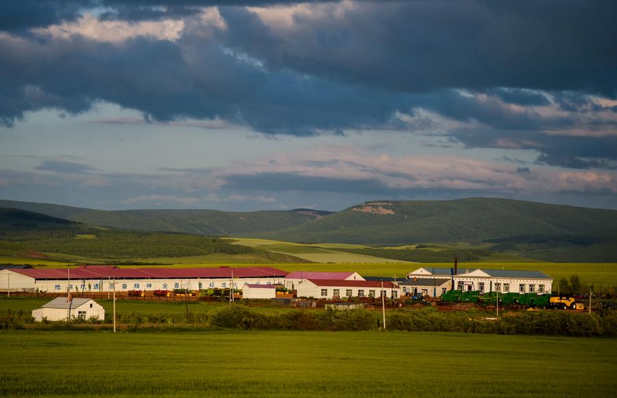 Aerial view of Hulun Buir grassland