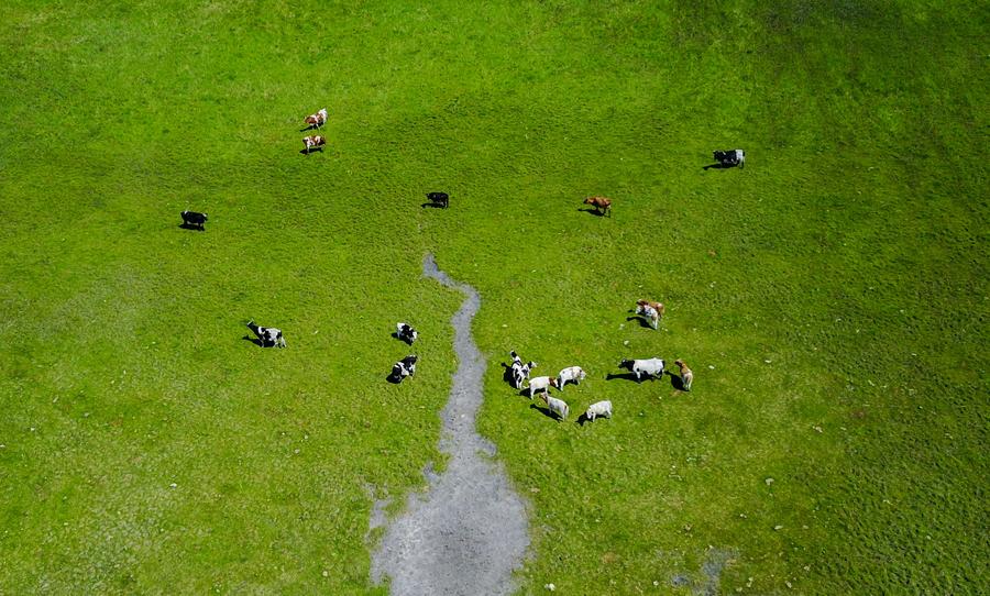 Aerial view of Hulun Buir grassland