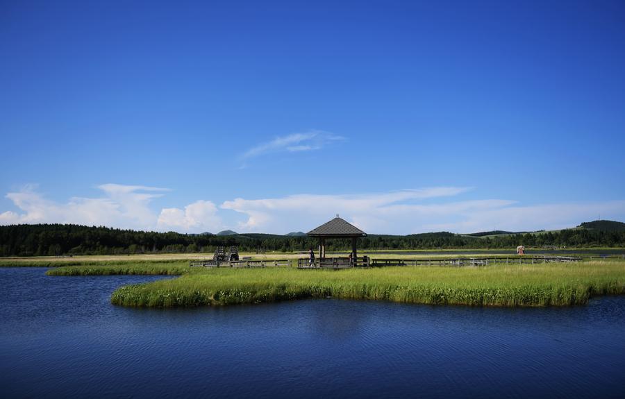 Scenery of Saihanba in N China