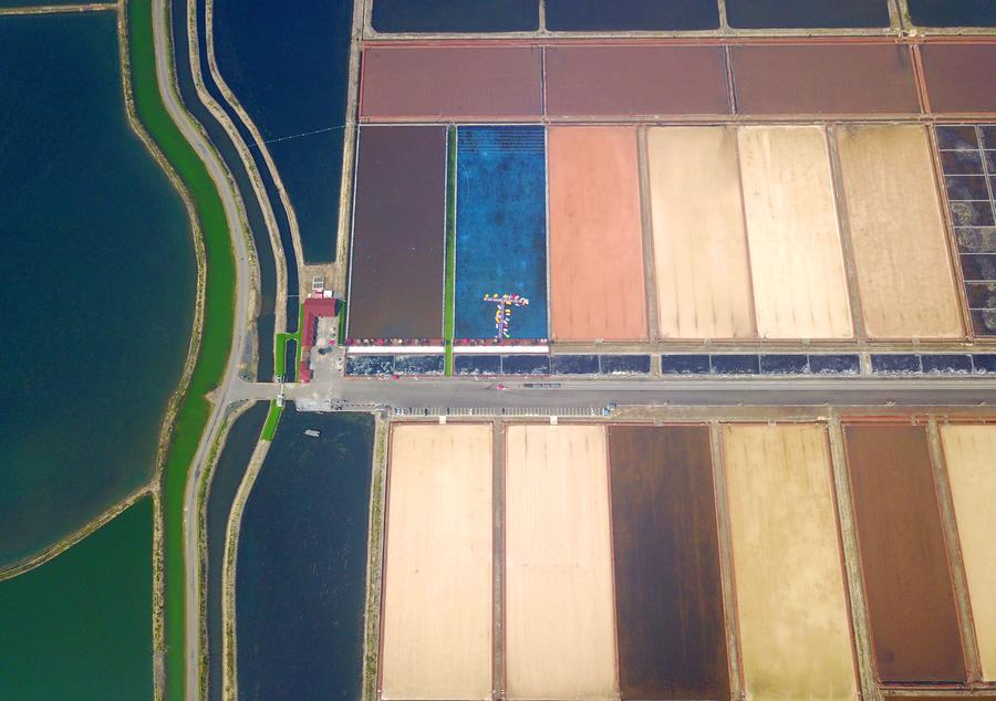 Salt fields enter into harvest season in Liaoning