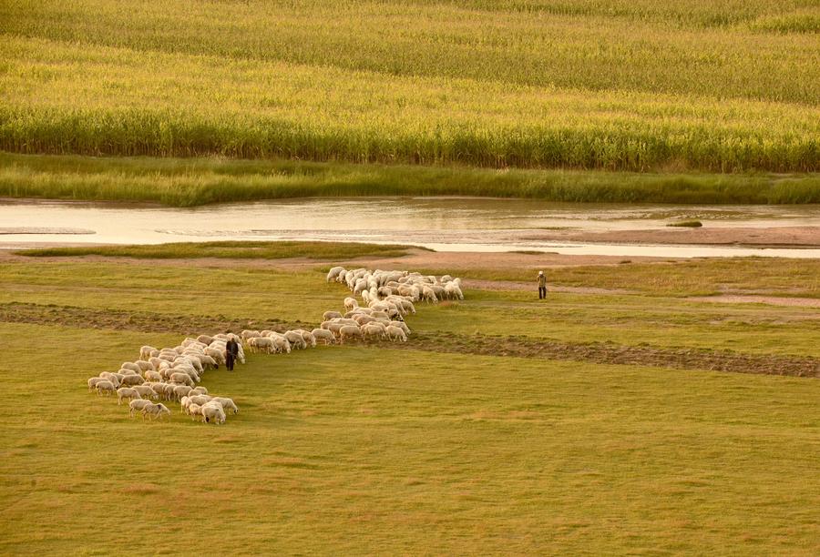 Early autumn scenery by Hunhe riverside in Inner Mongolia