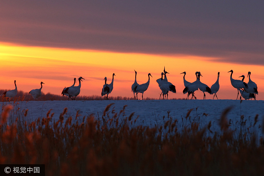 10 best wetland resorts for serene break