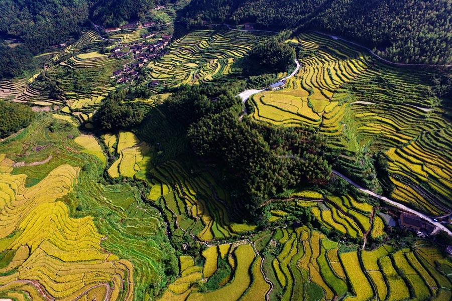 Aerial view of beautiful terraces in E China