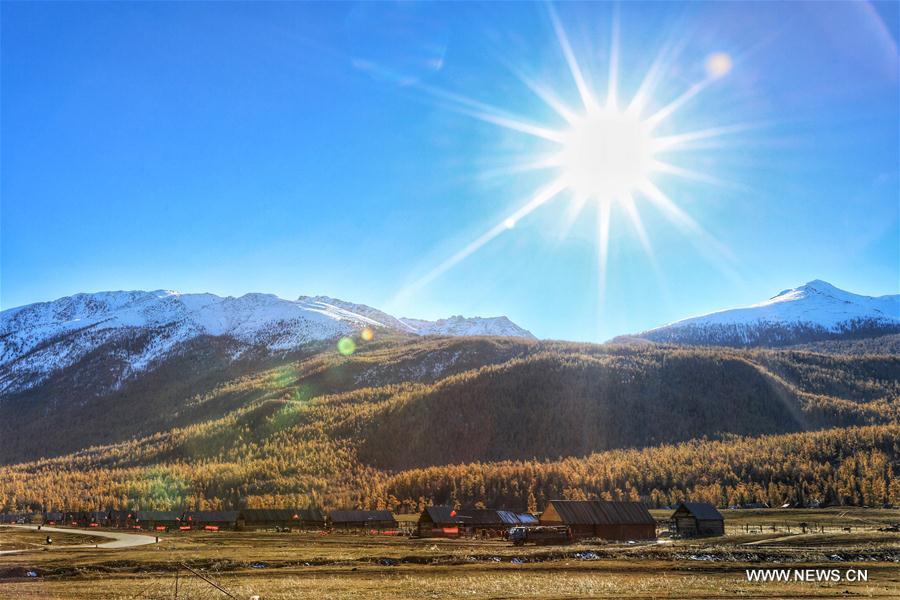 Autumn scenery of Kanas scenic area in China's Xinjiang