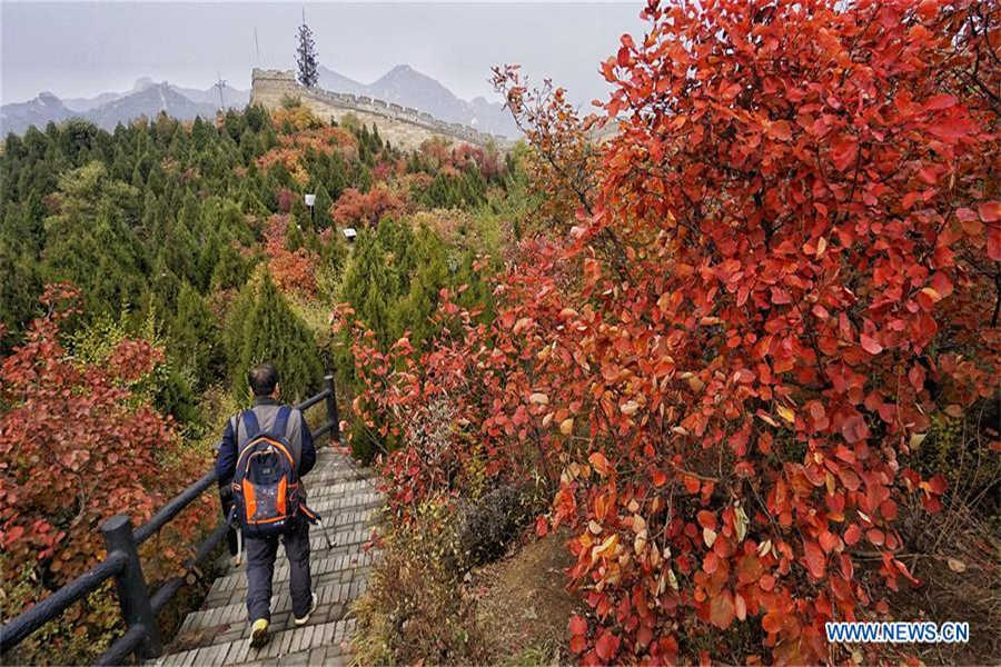 Stunning autumn scenery of Badaling National Forest Park