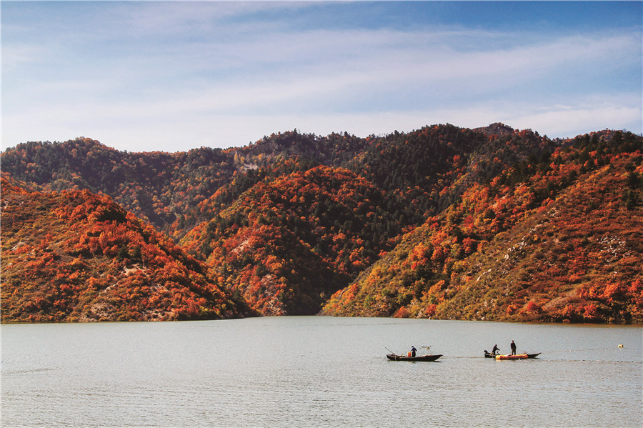 Autumn wonders around China: Photos that grasp the best moments of the season