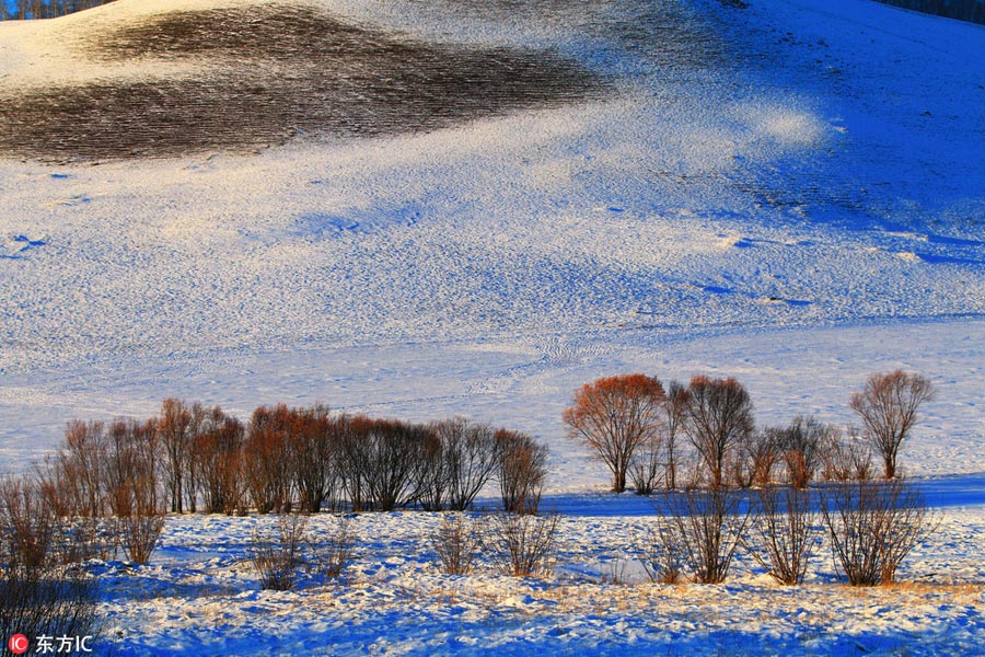 Winter scenery of Greater Khingan Range