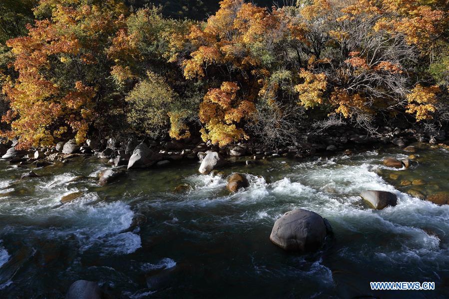 Scenery of snow-covered Yading Nature Reserve in SW China