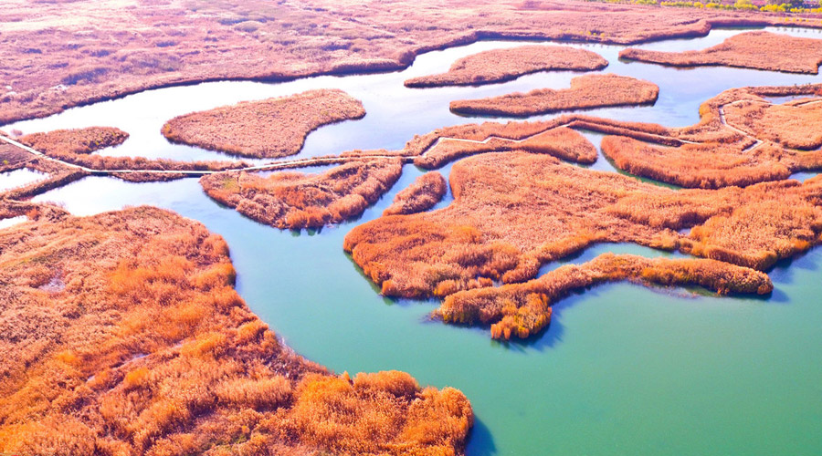 Picturesque Zhangye National Wetland Park