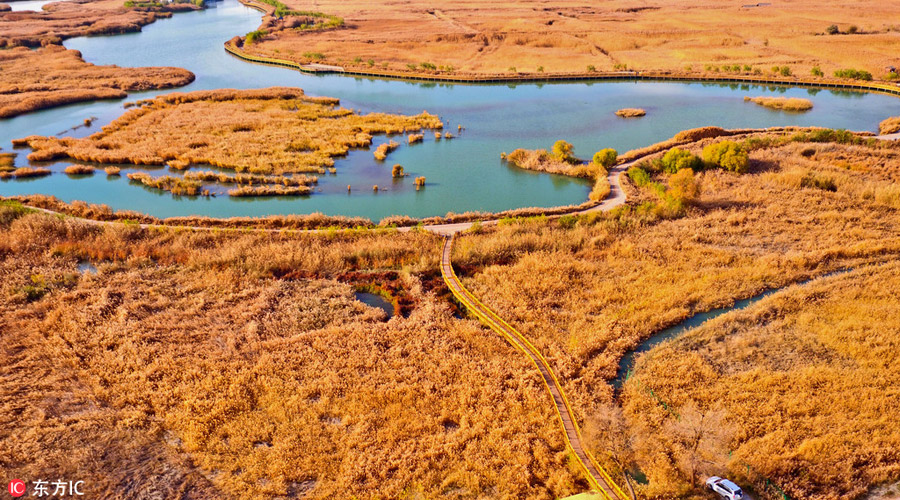 Picturesque Zhangye National Wetland Park