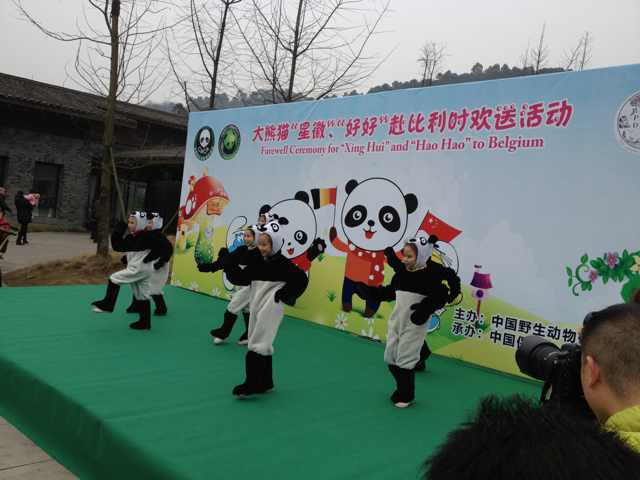 Live panda report