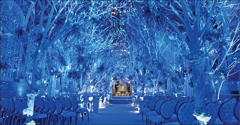 Dream weddings