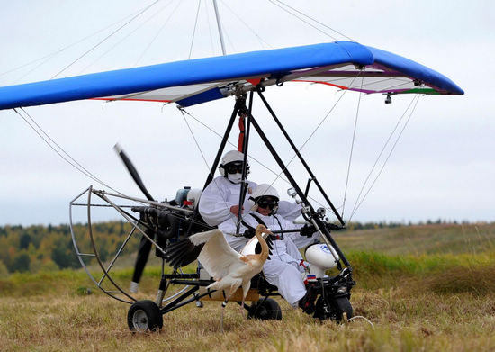 Putin takes to sky to lead flight of cranes