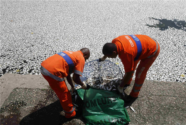 Dead fish wash up on shores of Brazilian lagoon